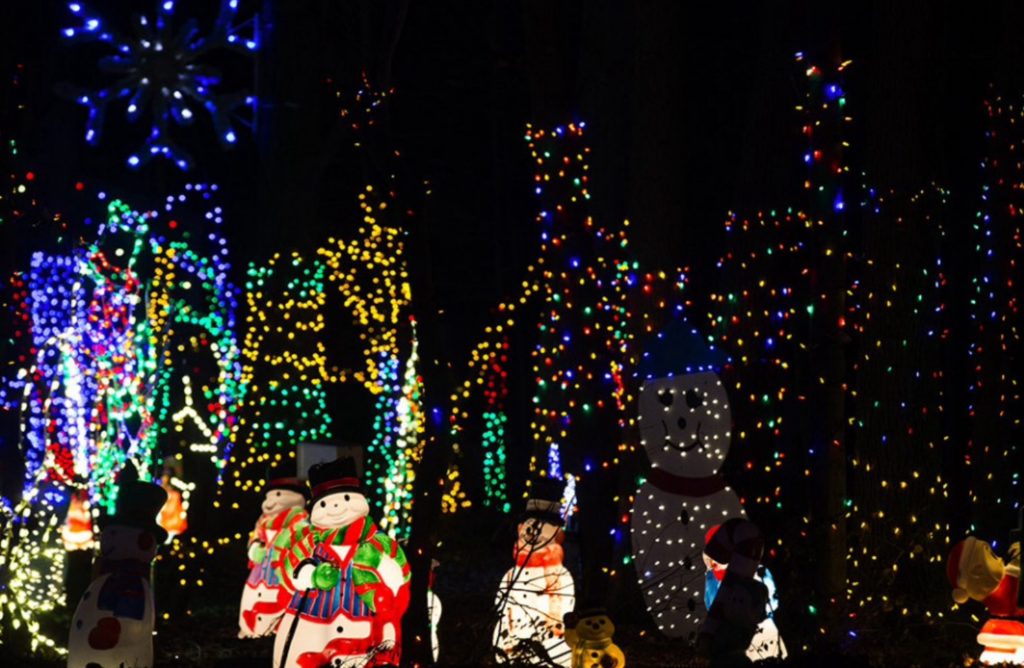 Christmas Magic: A Festival of Lights | York | Ship Saves