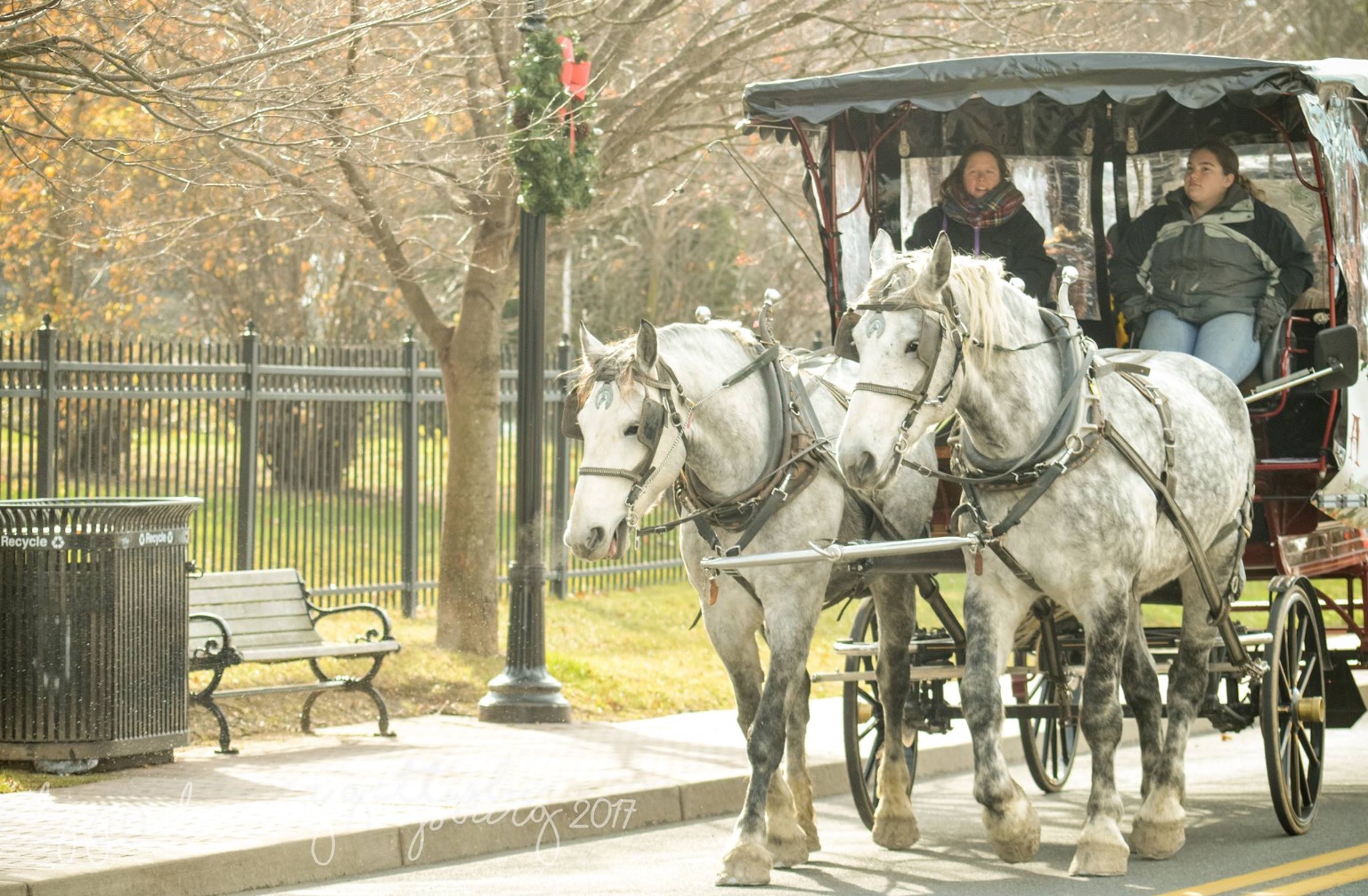 Enjoy A Holiday Carriage Ride Through The Town Of Gettysburg - SHIP SAVES