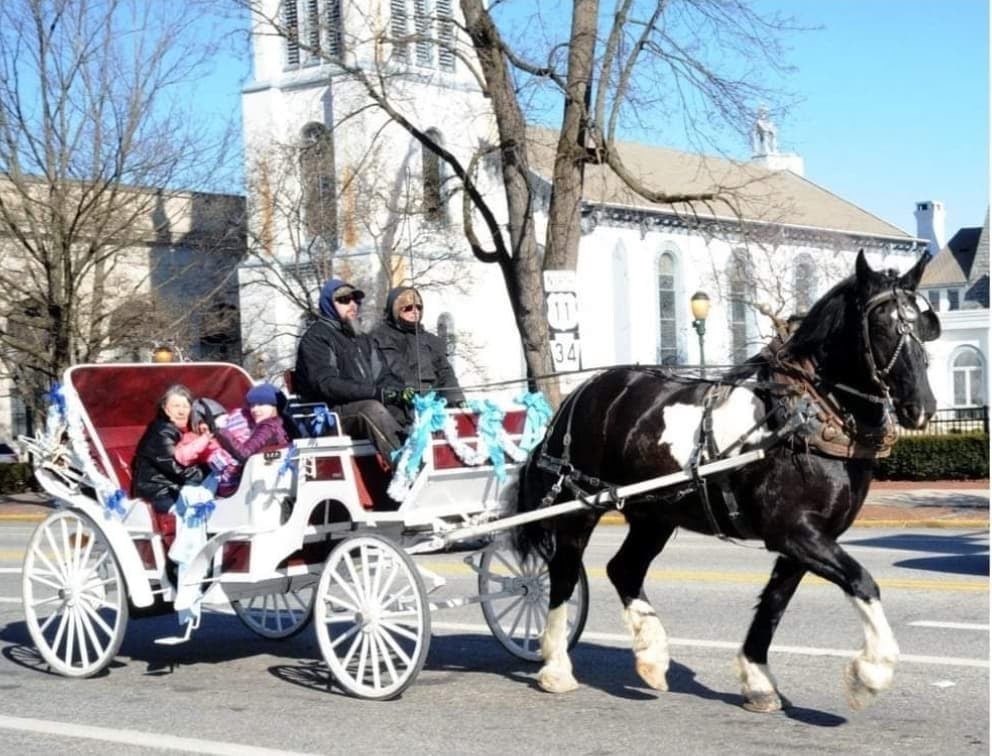 Holiday Carriage and Wagon rides offered in Carlisle - SHIP SAVES