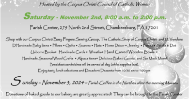 Corpus Christi Holiday Craft Fair | November 2, 2024